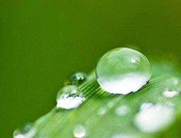 “今夜露水重,明天太阳红”有道理吗?