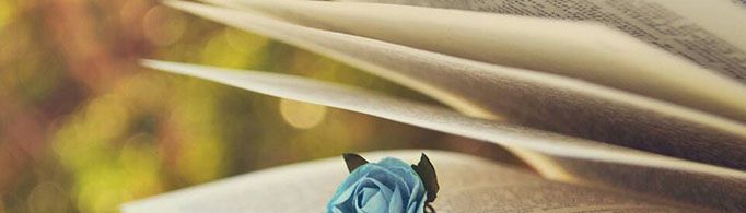 黄色书这种说法是怎么来的？