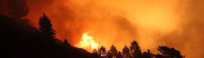 森林起火为什么会引发天上飞火?