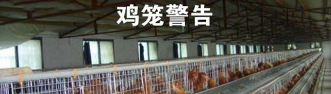 鸡笼警告什么意思?