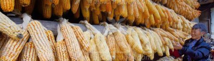 五个一批的内容是什么？