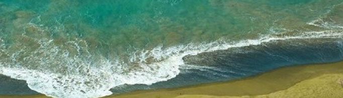 为什么会有绿色的沙滩？