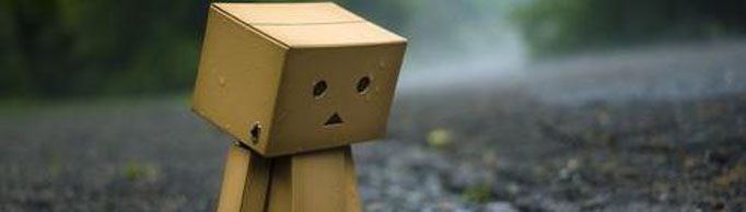 “詹森效应”是什么意思？