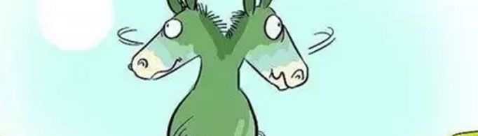 “布里丹毛驴效应”是什么意思？