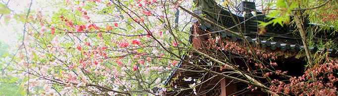 为什么“人间四月芳菲尽，山寺桃花始盛开”？