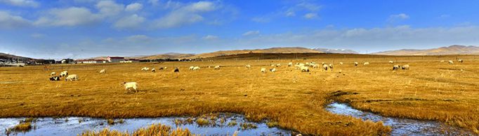 沼泽是如何形成的？