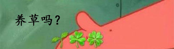 网络语养草什么意思?