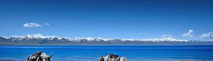 为什么青藏高原被称为“亚洲水塔”?