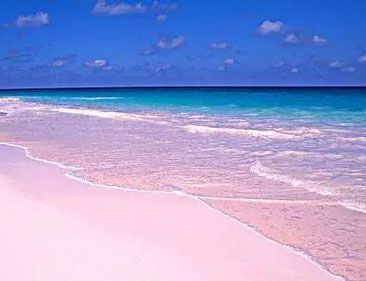 世界上有粉色的沙滩吗？