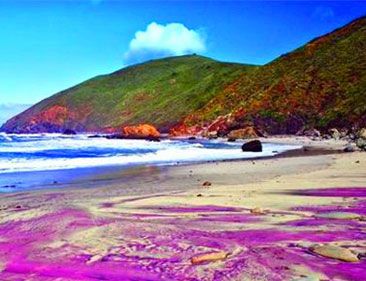 世界上有紫色的沙滩吗？