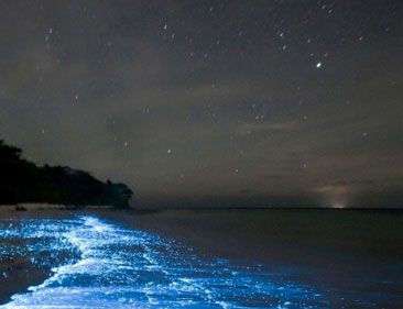 世界上有蓝色的沙滩吗?