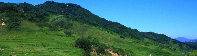 为什么南枝向暖北枝寒,一样春风有两般?