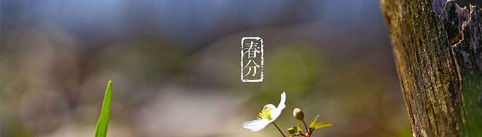 什么情况下,太阳不会升起来?