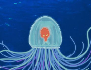 “灯塔水母”真的能“返老还童”吗？