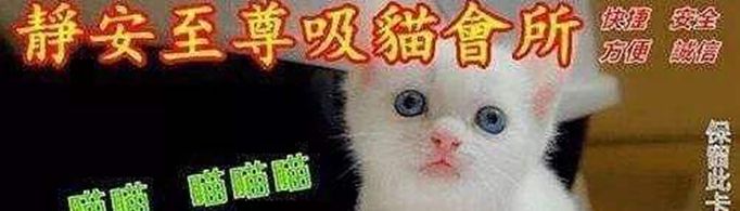 非法吸猫是什么意思？