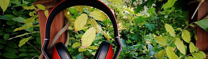 为什么给植物听音乐会长的更好？