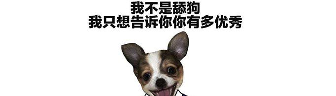 舔狗之歌是什么意思？