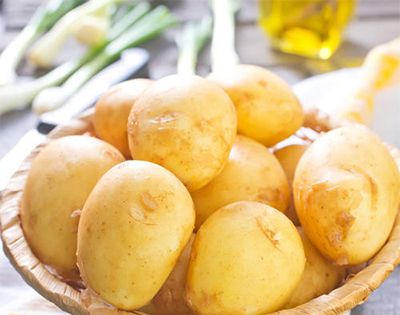 土豆原产地是哪里？