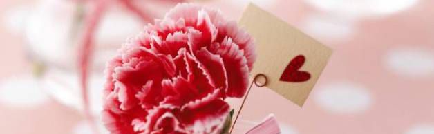 教师节送什么鲜花?