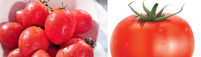 西红柿和圣女果的区别?