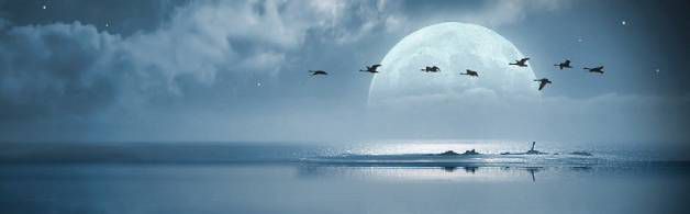 但愿人长久千里共婵娟是什么意思?