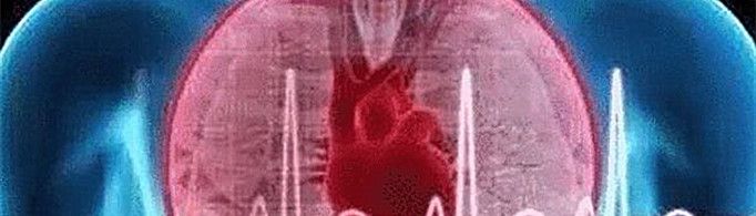 你是我的窦房结是啥意思?