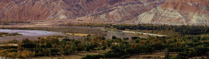 为啥黄河水清了,鱼虾却少了?