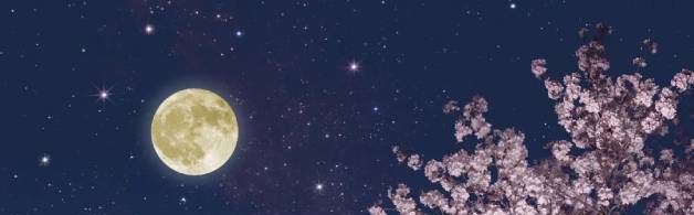 怎么用50字介绍中秋节的由来？