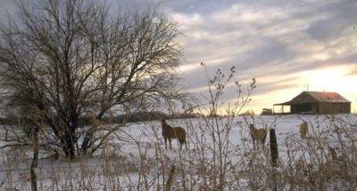 大雪有什么农事活动