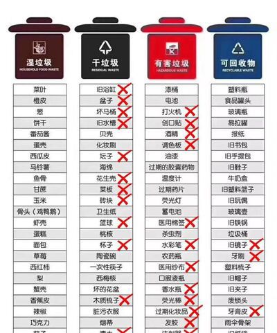 生活垃圾分类投放误区