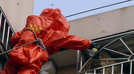 阳台上突然出现马蜂窝,如何快速安全得处理