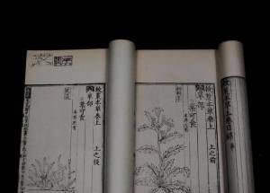 《救荒本草》是哪个朝代的？