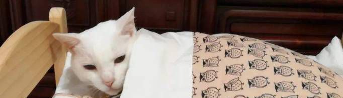 老奶奶钻被窝是什么意思？