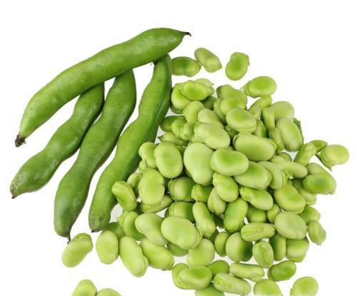 100大卡热量究竟是多少,你了解吗?