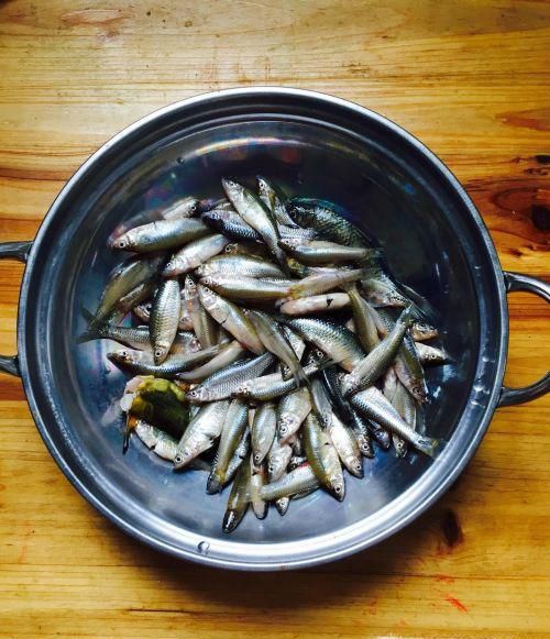 怎么用竹篮子钓小鱼?