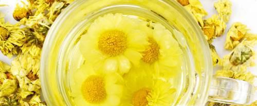 杭白菊和贡菊的区别