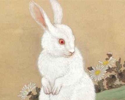 卯时属什么生肖?