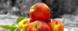 油桃的功效与作用