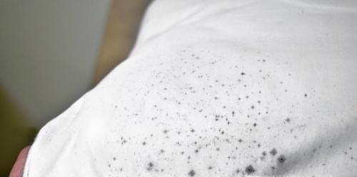 衣服发霉怎么洗掉