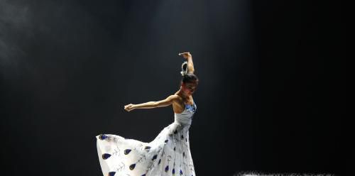 舞蹈种类有哪些?