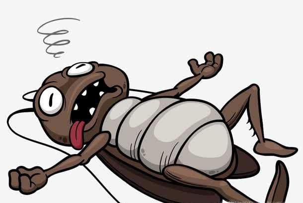 家里蟑螂怎么彻底清除