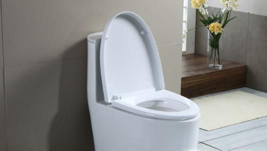 马桶堵了怎么办?