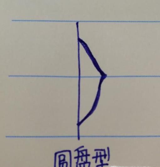 从侧面观察，乳房的形状分为6种