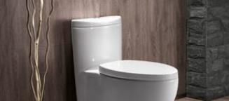 马桶被卫生纸堵住了怎么办?