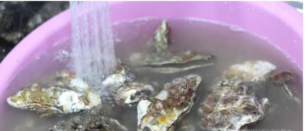 生蚝怎么清洗内脏