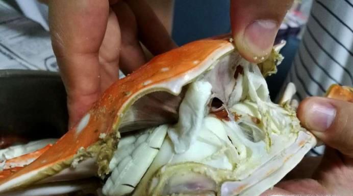 图解正宗吃螃蟹的方法
