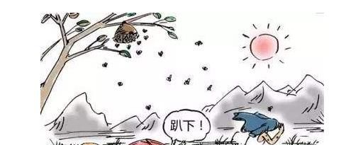 被马蜂蛰了应该怎么办呢