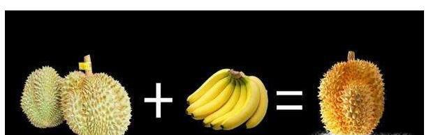 榴莲不熟怎么办?