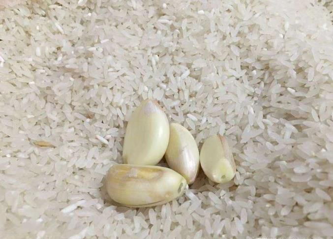 大米生虫了怎么办?