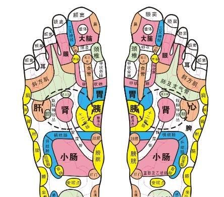 详细脚部穴位图解
